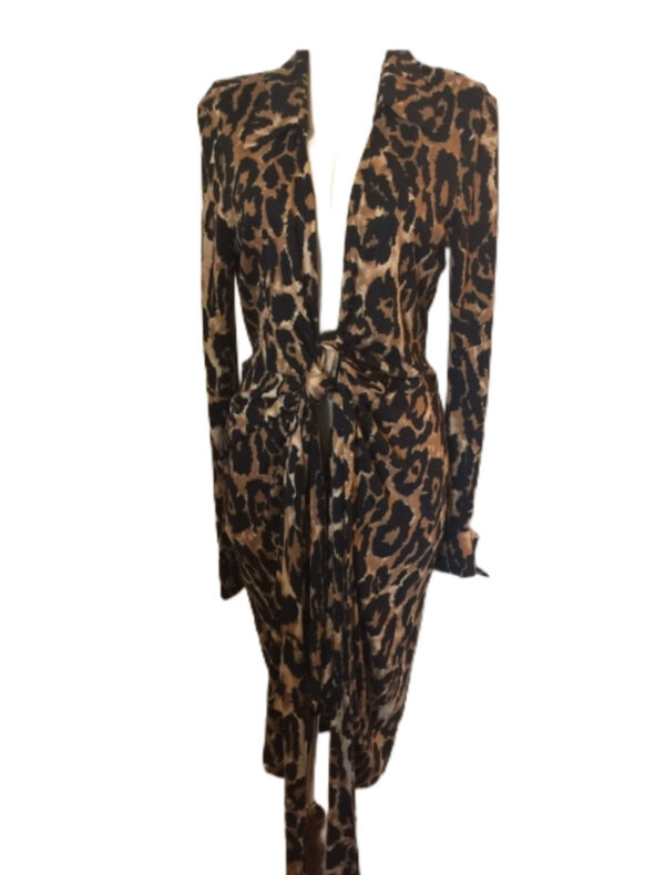 Diane von Furstenberg Wrap Dress